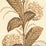 Quadrille Climbing Hydrangea Taupe Wallpaper Sample 303300WP