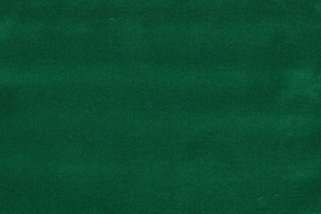 Colony Argo Giungla Fabric Sample CL364320042