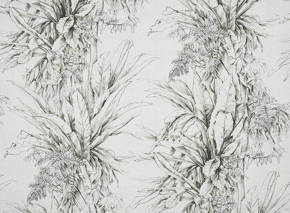 Pierre Frey Jalapao Fusain Fabric Sample F3369001