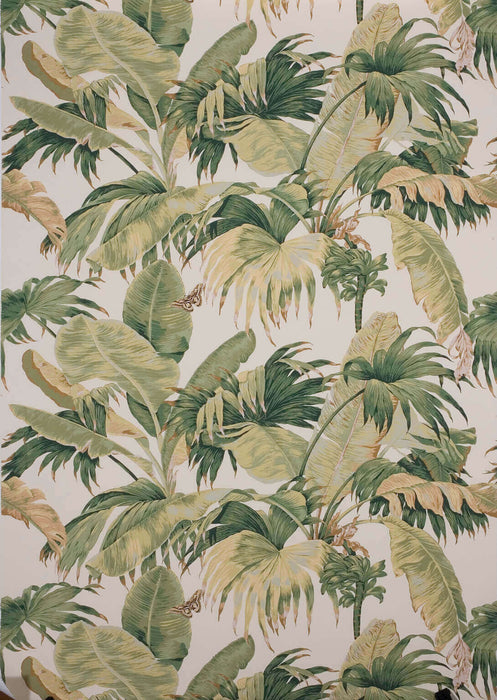 Boussac Bananier Ecru Green Wallpaper Sample W4630A01