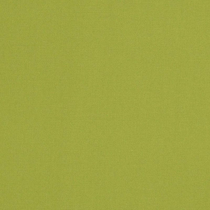 Charlotte Lime Fabric Sample D3451