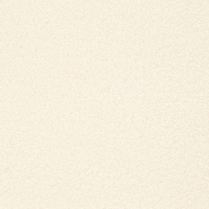 Charlotte Cloud Fabric Sample D3613