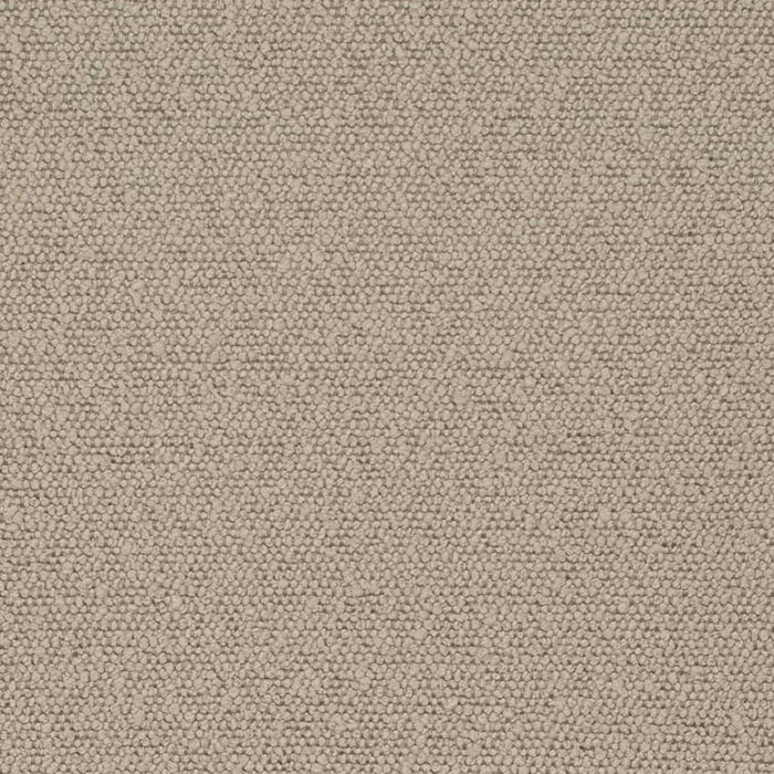 Charlotte Mushroom Fabric Sample D3635