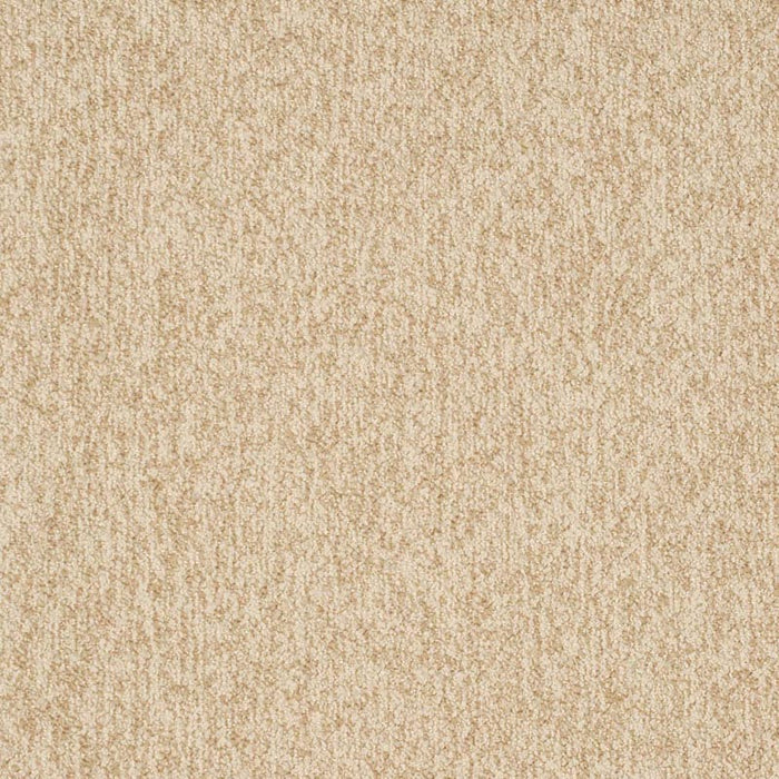 Charlotte Sand Fabric Sample D3653