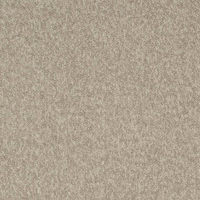 Charlotte Driftwood Fabric D3655