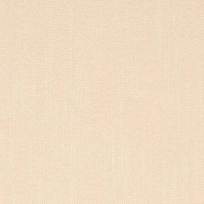 Charlotte Putty Fabric D4251