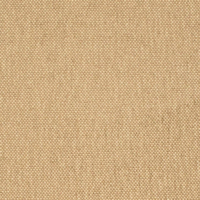 Charlotte Latte Fabric Sample D4464