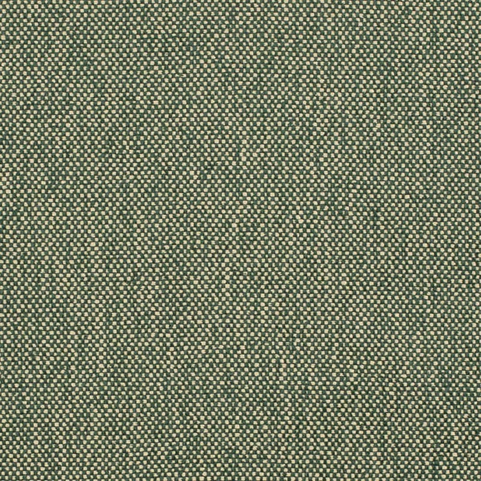 Charlotte Hunter Fabric D4475