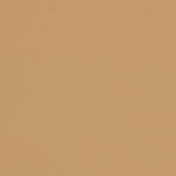 Charlotte Tan Fabric Sample D4497