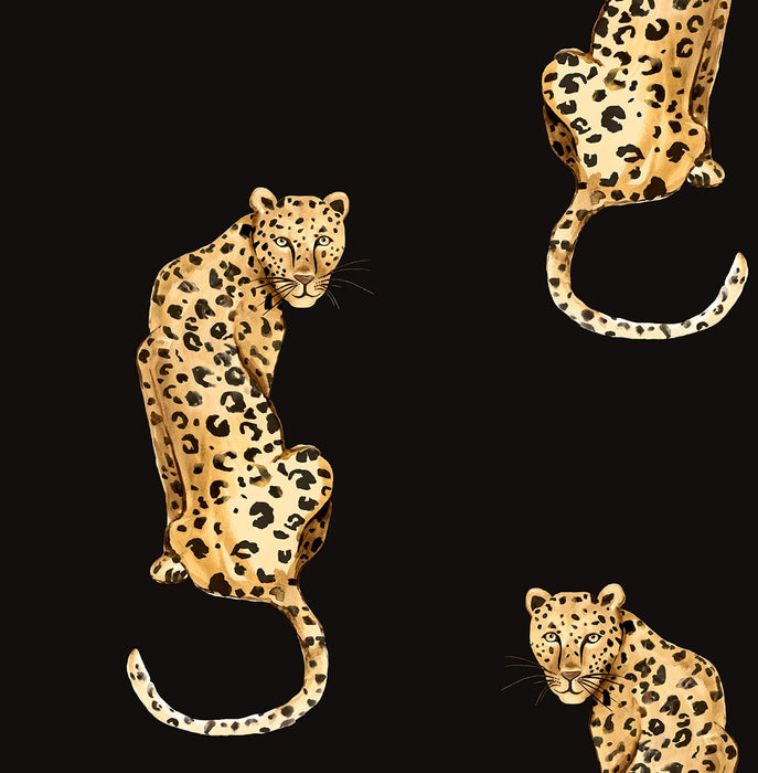 Daisy Bennett Leopard King Black Wallpaper DB20200