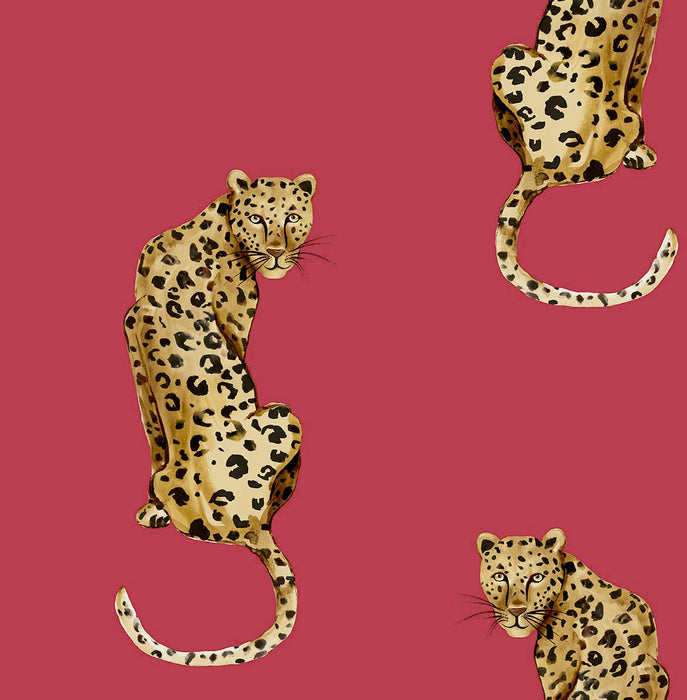 Daisy Bennett Leopard King Red Wallpaper DB20201