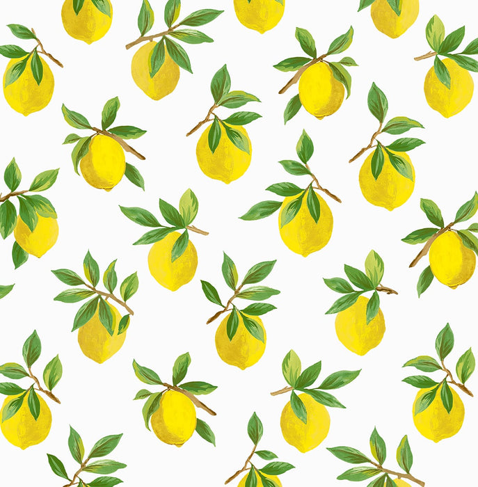 Daisy Bennett Lemoncello White Wallpaper DB20403
