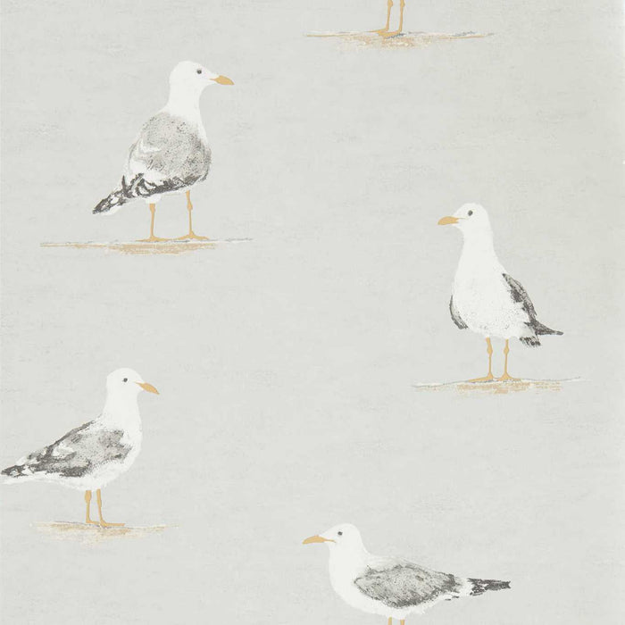 Sanderson Shore Birds Gull Wallpaper Sample DCOA216565