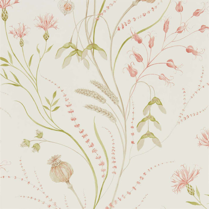Sanderson Summer Harvest Claret/Olive Wallpaper Sample DEBB216495