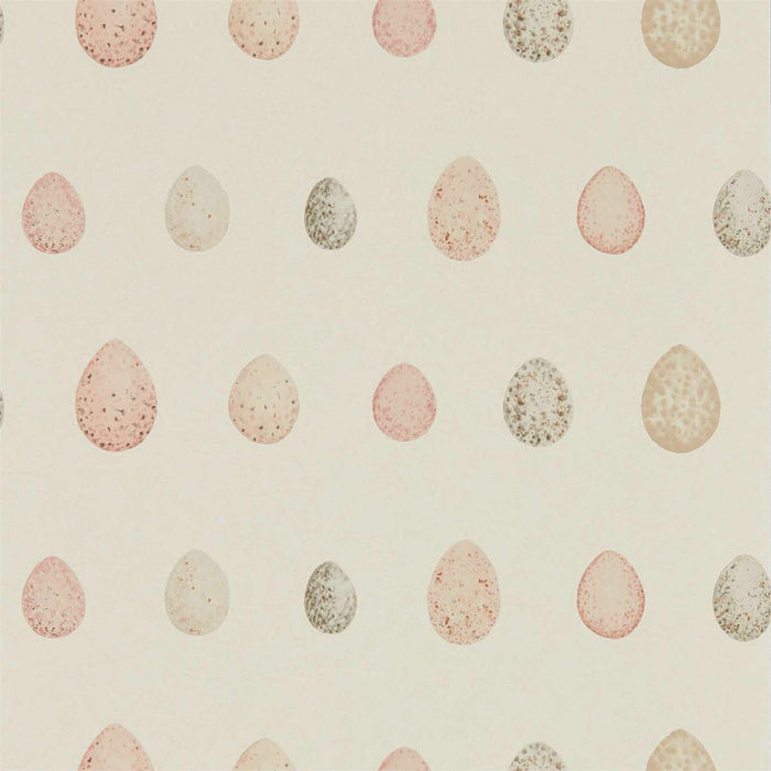 Sanderson Nest Egg Blush pink Wallpaper Sample DEBB216506
