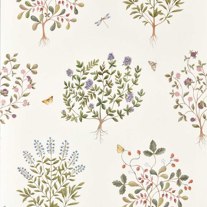 Sanderson Thyme Walk Damson/Quince Wallpaper DHIP217509