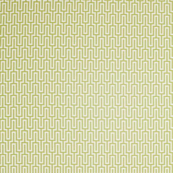 Sanderson Linnean Lime 236785 Fabric Sample DLNC236785