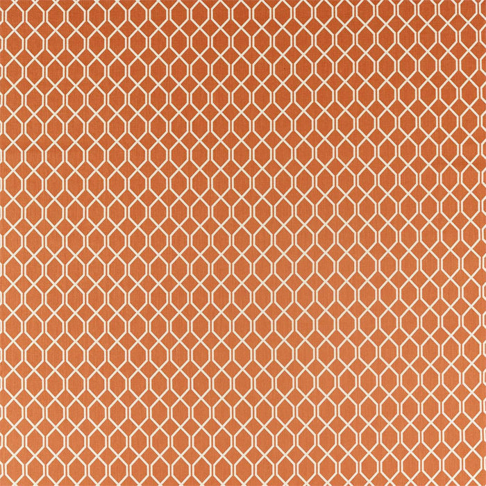 Sanderson Botanic Trellis Papaya 236791 Fabric Sample DLNC236791