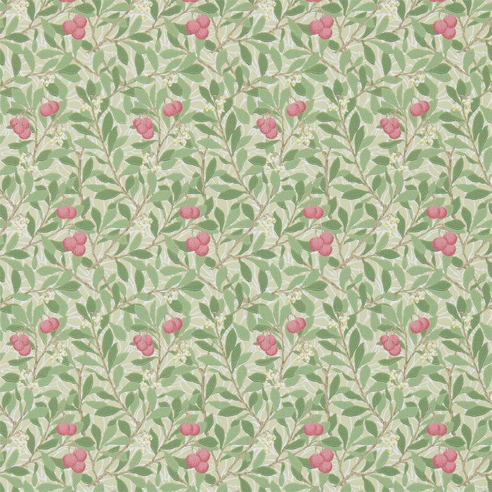 Morris & Co Arbutus Olive/Pink Wallpaper Sample DM3W214720