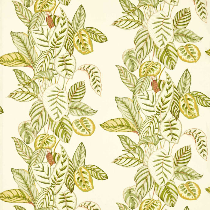 Sanderson Calathea Samphire Fabric DSAN227189