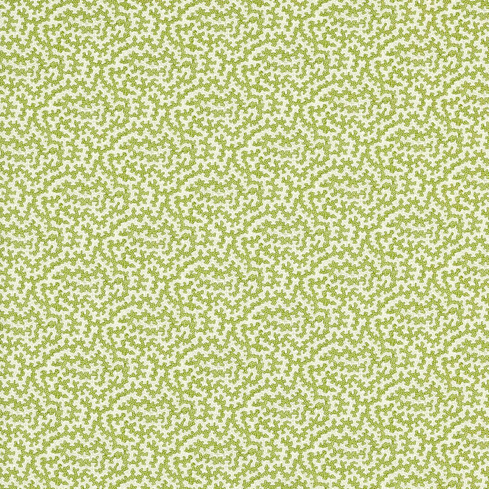 Sanderson Truffle Olive Fabric DSAN227204