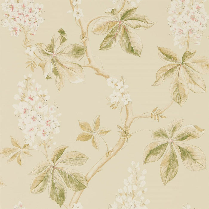 Sanderson Chestnut Tree Coral/Bayleaf Wallpaper Sample DWOW215709
