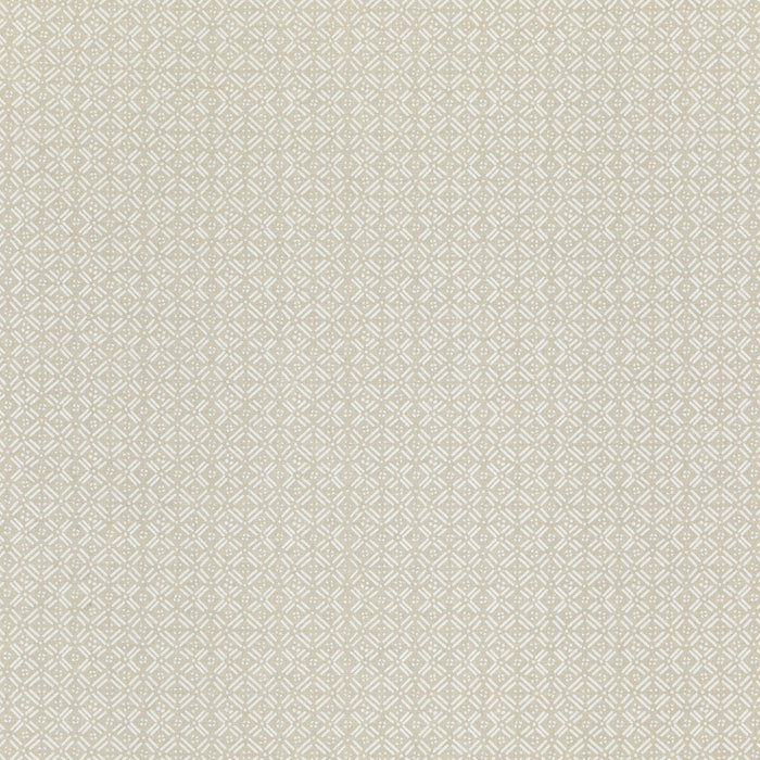 Threads Aslin Ivory Fabric Sample ED75036.1.0