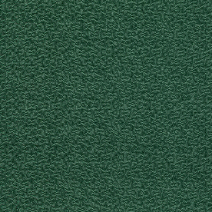 Threads Boundary Emerald Fabric Sample ED75042.5.0
