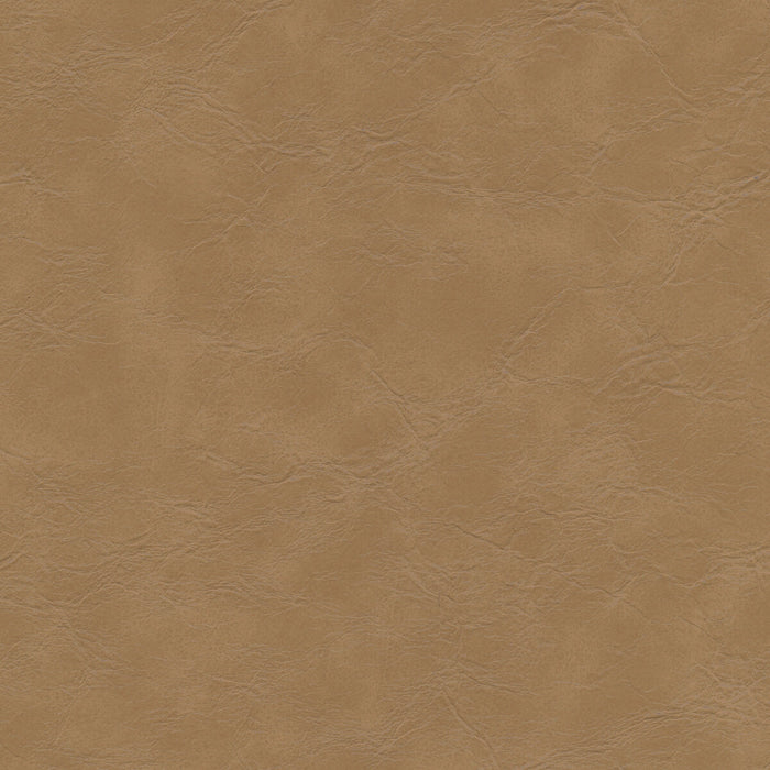 Kravet Design EQUINE.106.0 Fabric