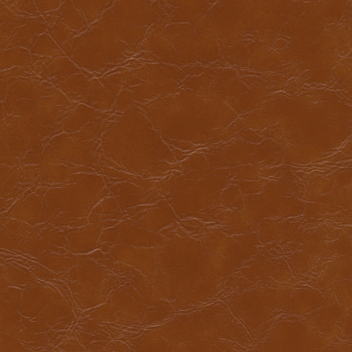 Kravet Design EQUINE.6.0 Fabric