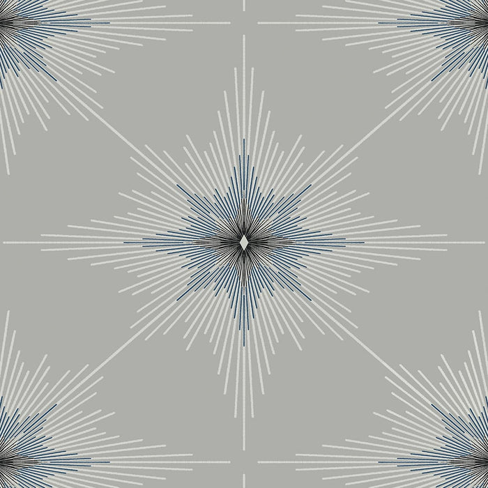 Seabrook Designs North Star Argos Grey Wallpaper Sample ET11408