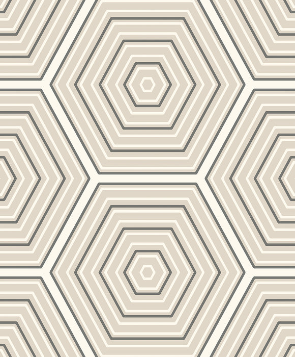 Seabrook Designs Hex Topography Lunar Rock & Argos Grey Wallpaper Sample ET11905