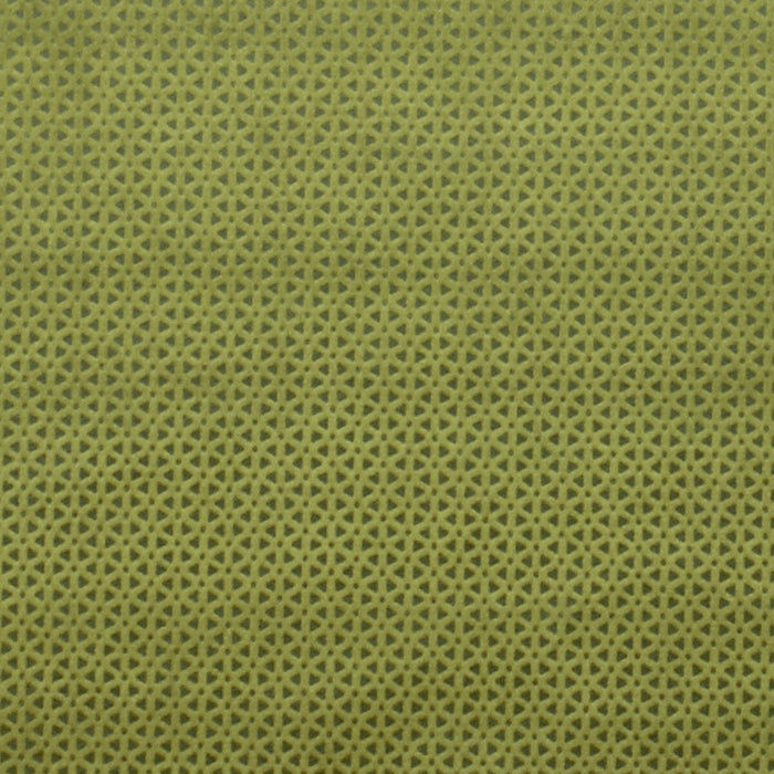 Clarke & Clarke Loreto Olive Fabric Sample F0968/06.CAC.0