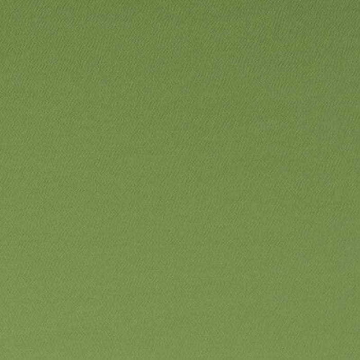 Clarke & Clarke Spectrum Oregano Fabric Sample F1062/26.CAC.0