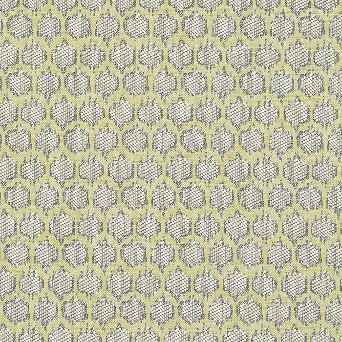 Clarke & Clarke Dorset Citron Fabric Sample F1178/03.CAC.0