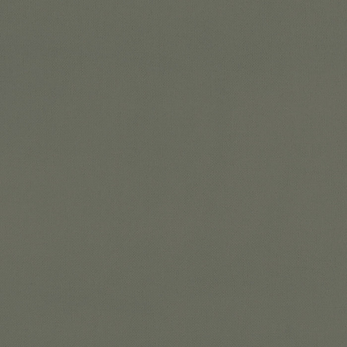 Clarke & Clarke Renzo Charcoal Fabric Sample F1231/03.CAC.0