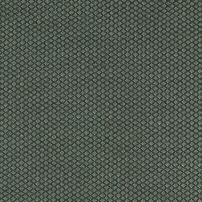 Clarke & Clarke Equator Forest Fabric F1618/01.CAC.0
