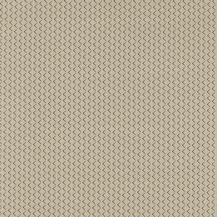 Clarke & Clarke Equator Natural Fabric F1618/03.CAC.0