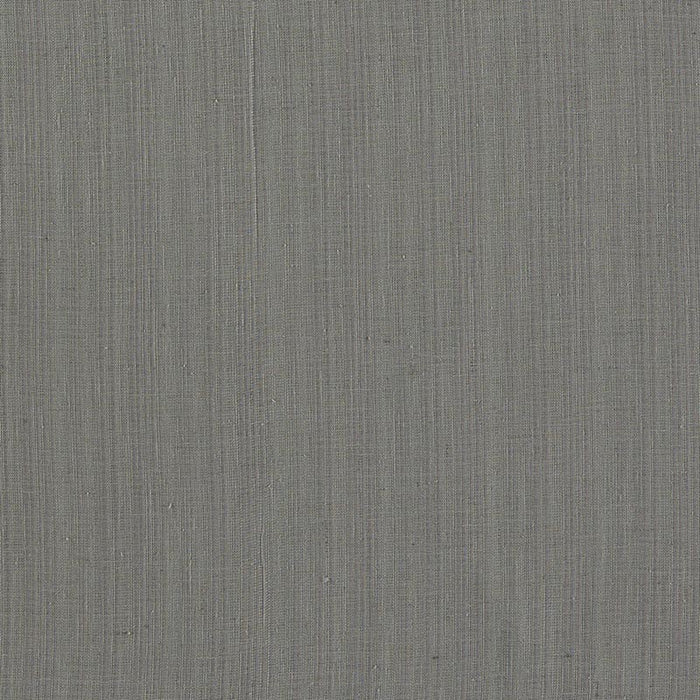 Clarke & Clarke Remo Charcoal Fabric F1665/02.CAC.0