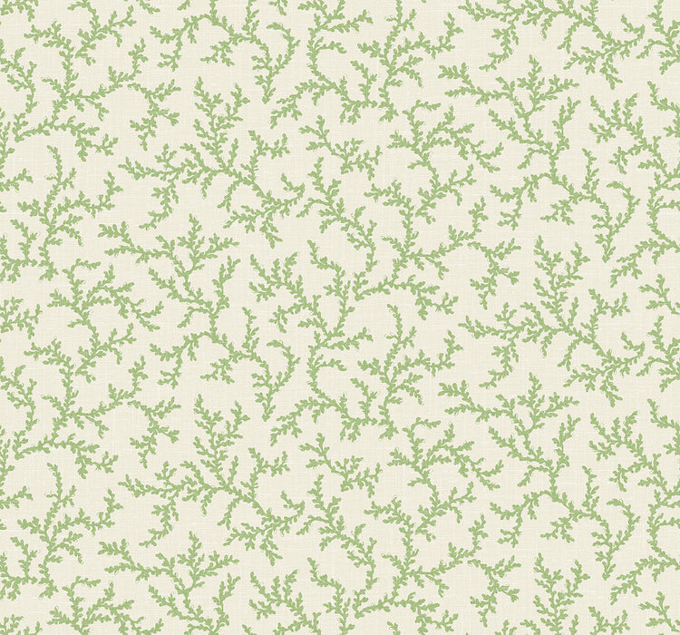 Seabrook Designs Corail Herb Wallpaper Sample FC62104