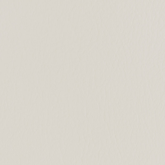Kravet Contract Forza Limestone Fabric FORZA.1101.0