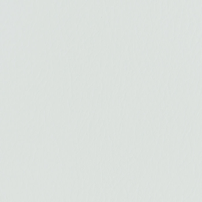Kravet Contract Forza Julep Fabric FORZA.113.0
