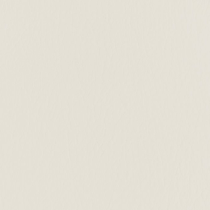 Kravet Contract Forza Parchment Fabric FORZA.1601.0