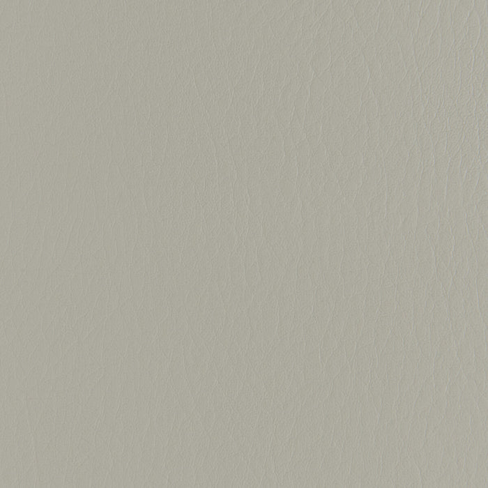 Kravet Contract Forza Tundra Fabric FORZA.2111.0