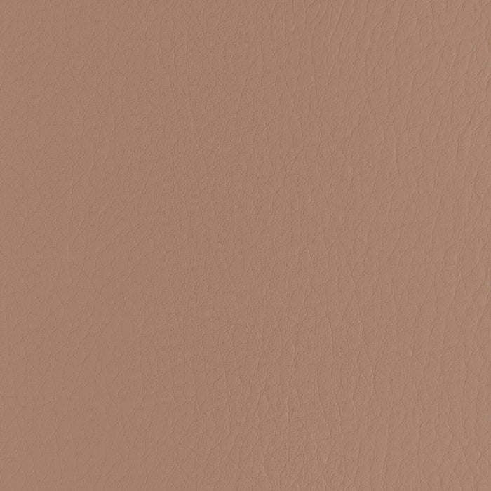 Kravet Contract Forza Praline Fabric Sample FORZA.610.0