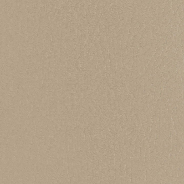 Kravet Contract Forza Fieldstone Fabric FORZA.611.0