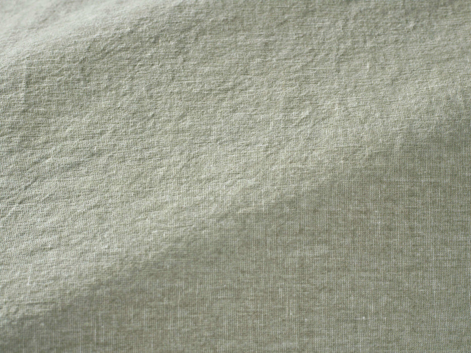 Pierre Frey Valreas Céladon Fabric Sample F3388009