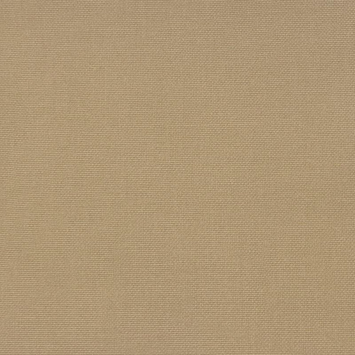 Gaston Y Daniela Palma Tierra Fabric Sample GDT5688.011.0