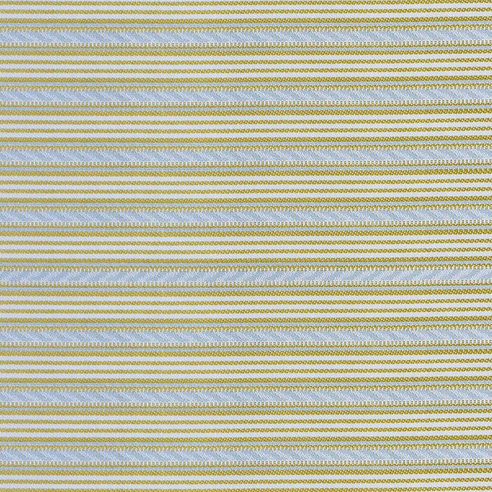 Gaston Y Daniela Dolma Lima/Azul Baby Fabric Sample GDT5693.005.0