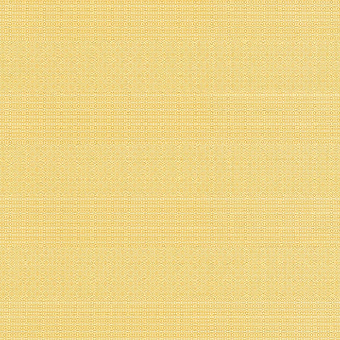 Gaston Y Daniela Kailas Paja Fabric Sample GDT5697.003.0